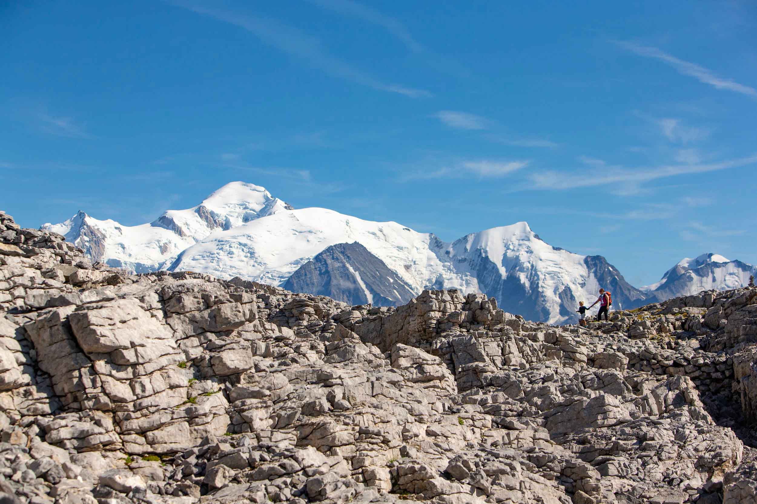 View of the Mont Blanc massif from the Désert de Platé