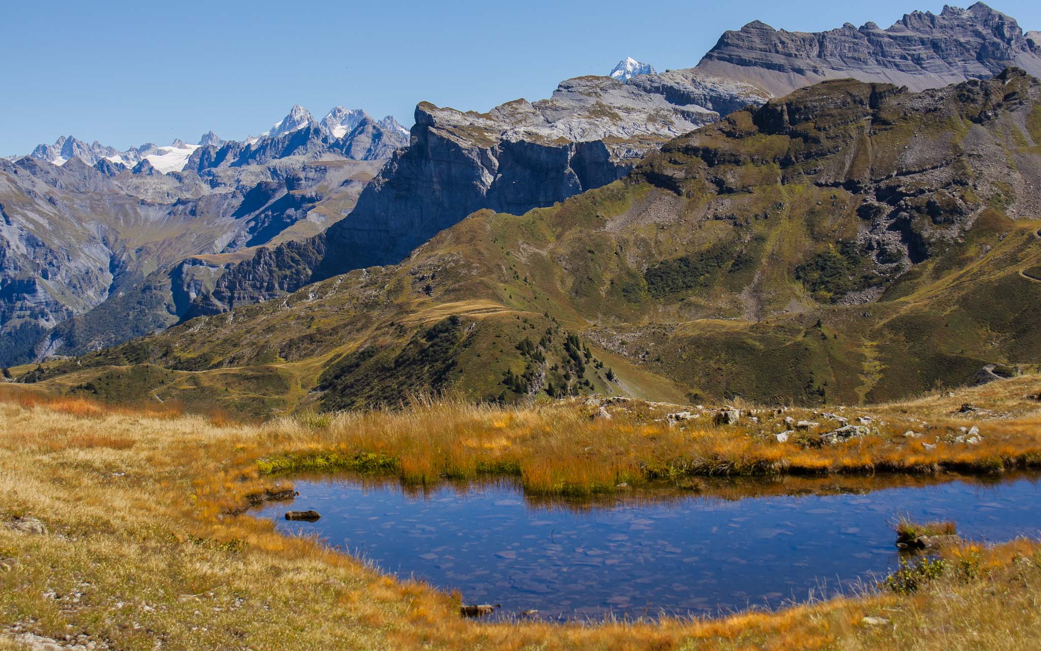 Paysage de zone humide en fin d'été avec en arrière-plan les montagnes de Flaine, photographié depuis les Grands Vans.